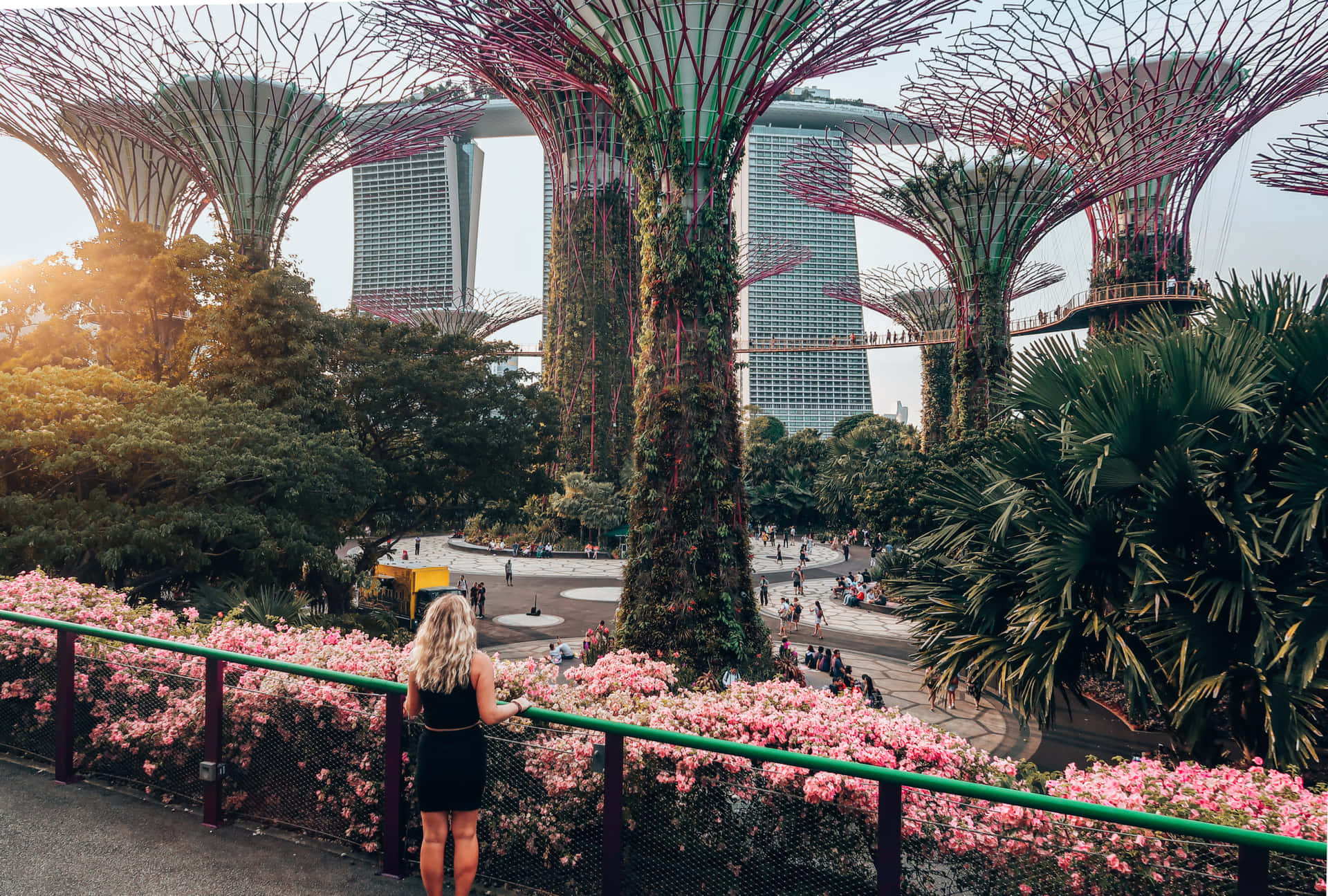 Gardens By The Bay Supertree Grove Visitor View Wallpaper