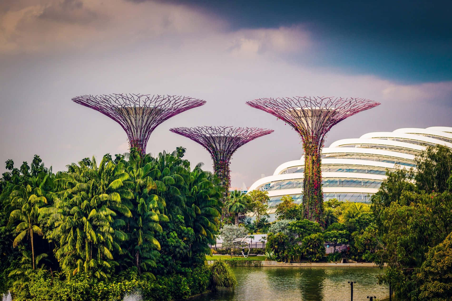 Gardens By The Bay Supertree Groveand Cloud Forest Dome Wallpaper