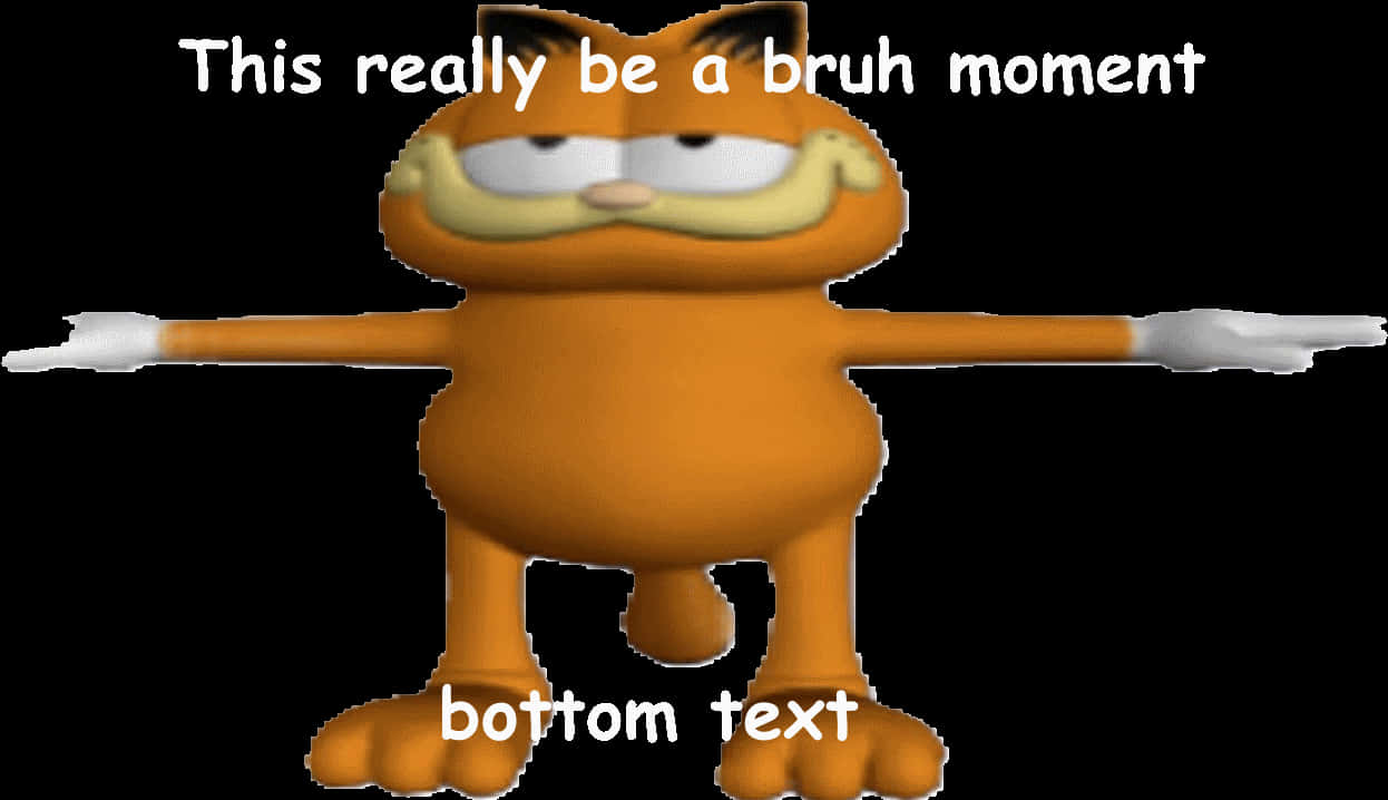 Garfield Bruh Moment Meme PNG