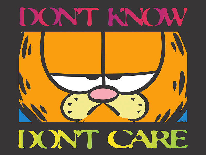Garfield I Don't Care