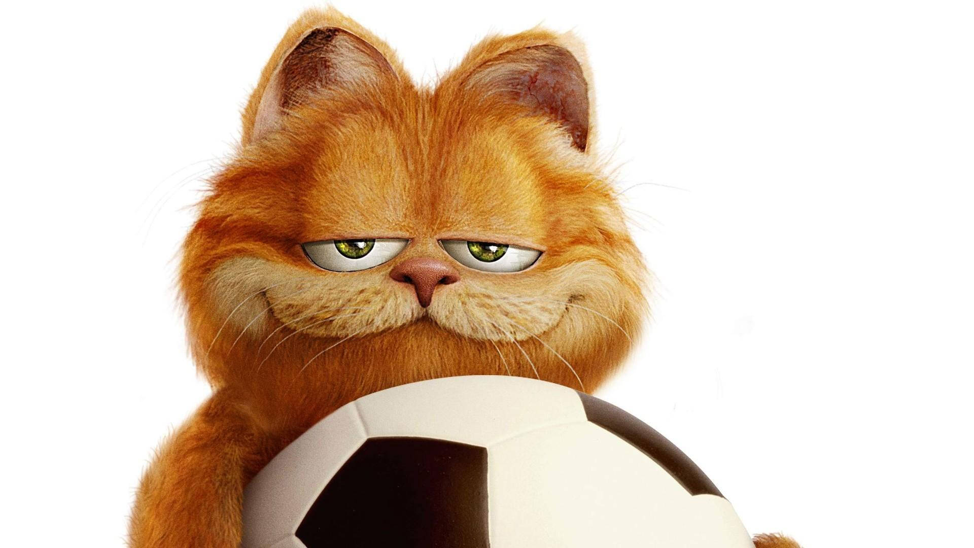 Caption: Garfield the Cat Enjoys Playing Football Wallpaper