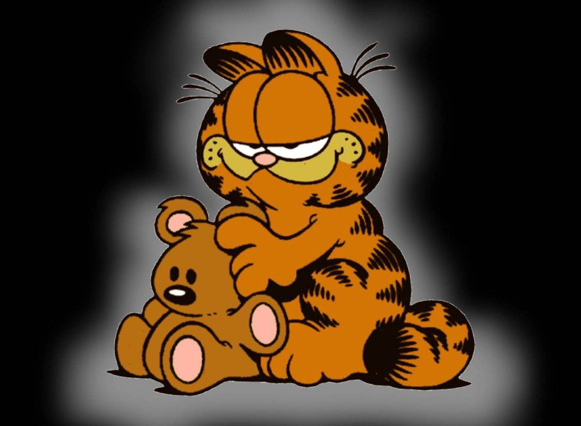 Garfield With Pooky Bear Wallpaper