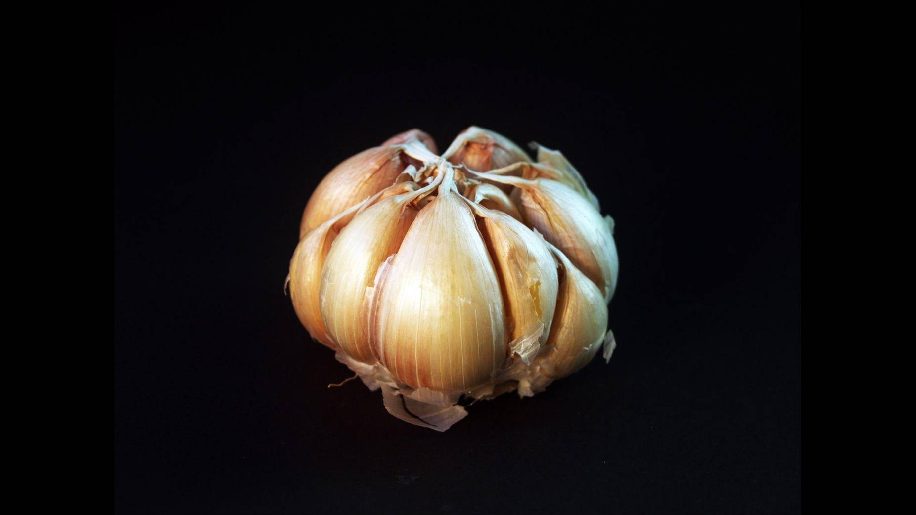 Fresh garlic cloves on a dark background Wallpaper