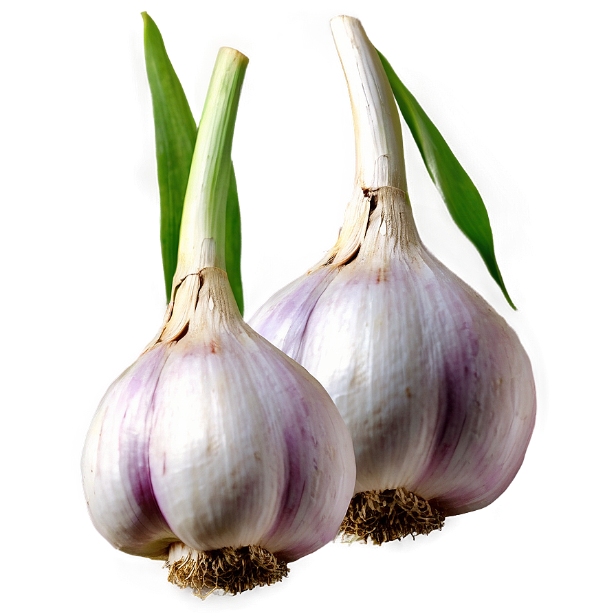 Download Garlic Field Png 8 | Wallpapers.com