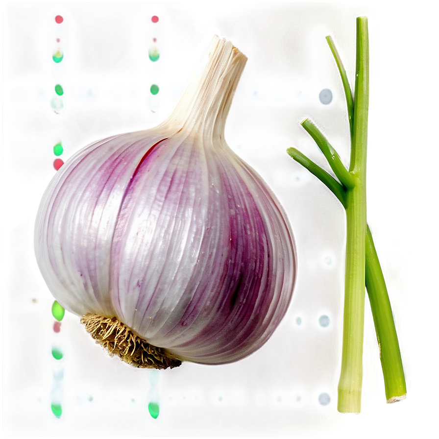 Garlic Flower Png 05242024 PNG