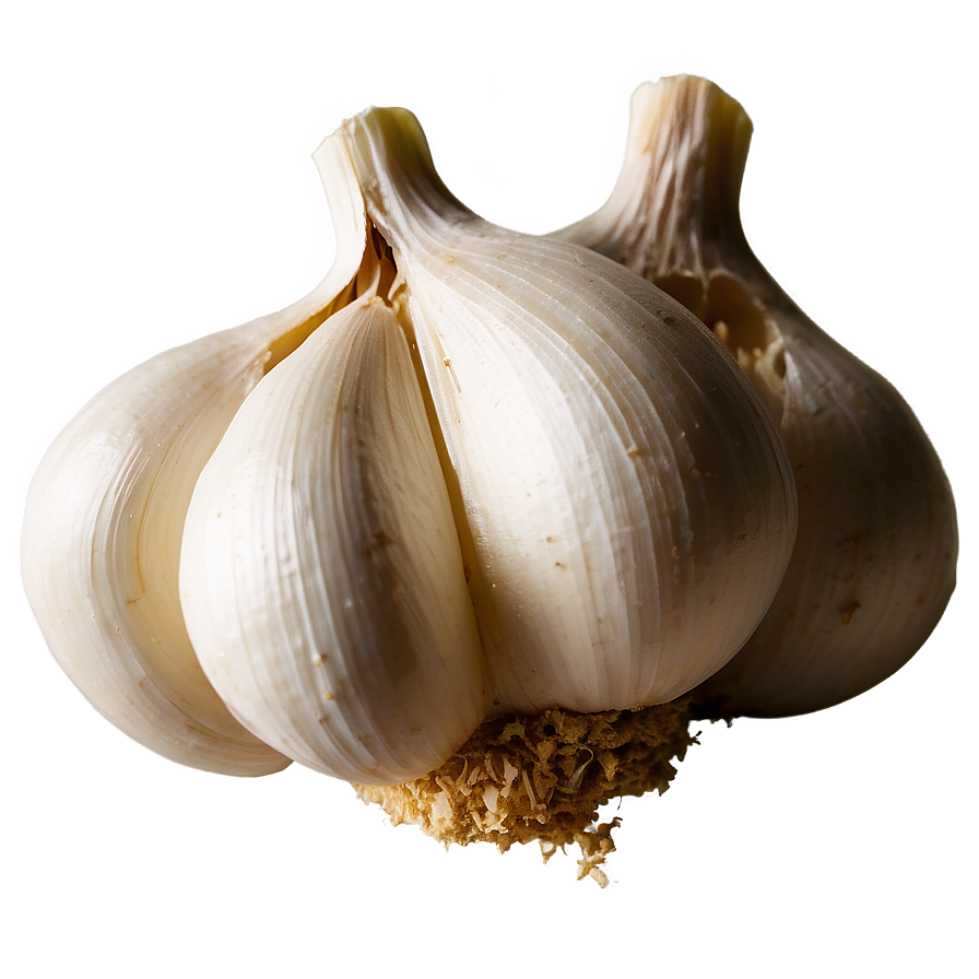 Download Garlic Powder Png 05242024 | Wallpapers.com