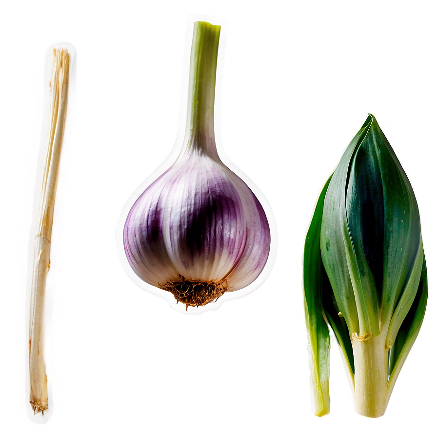 Download Garlic Sprout Png 81 | Wallpapers.com