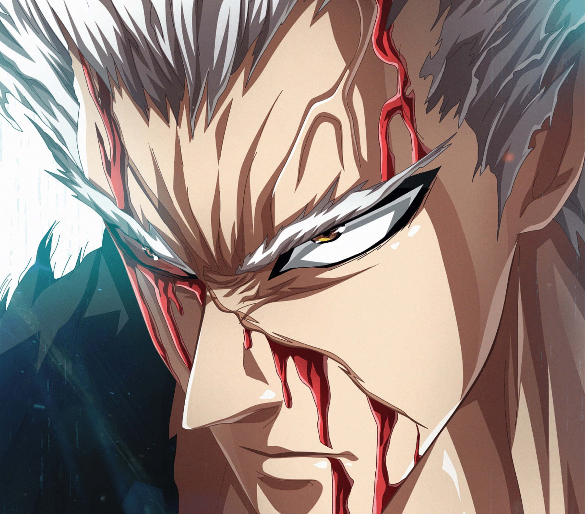 Garou | One-Punch Man Wiki | Fandom