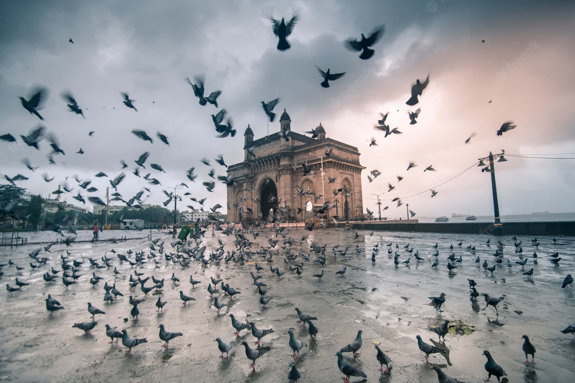 "Sunset at the Gateway of India with Birds in Flight" Wallpaper