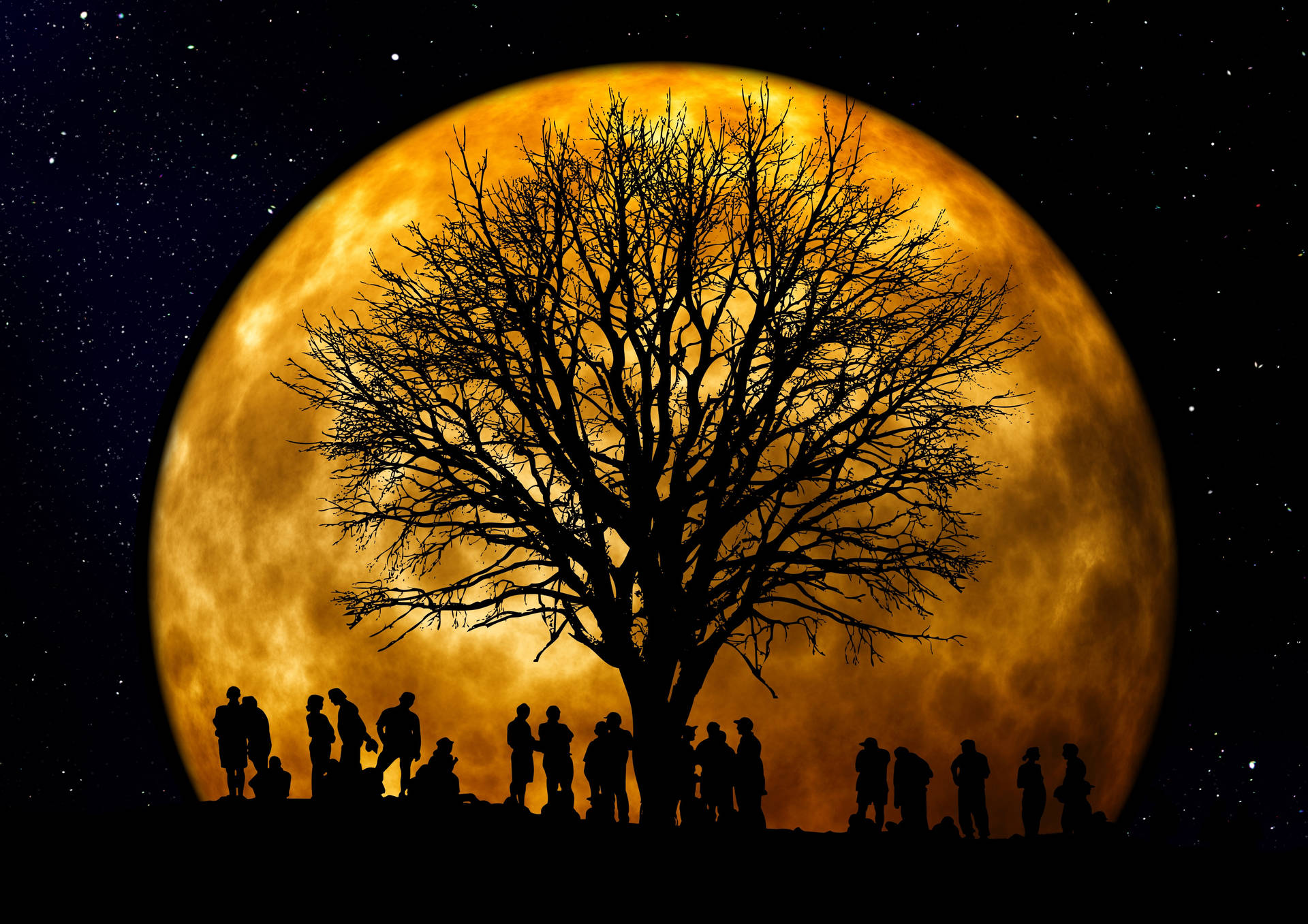 Gathering Under The Moon Night Sky Wallpaper