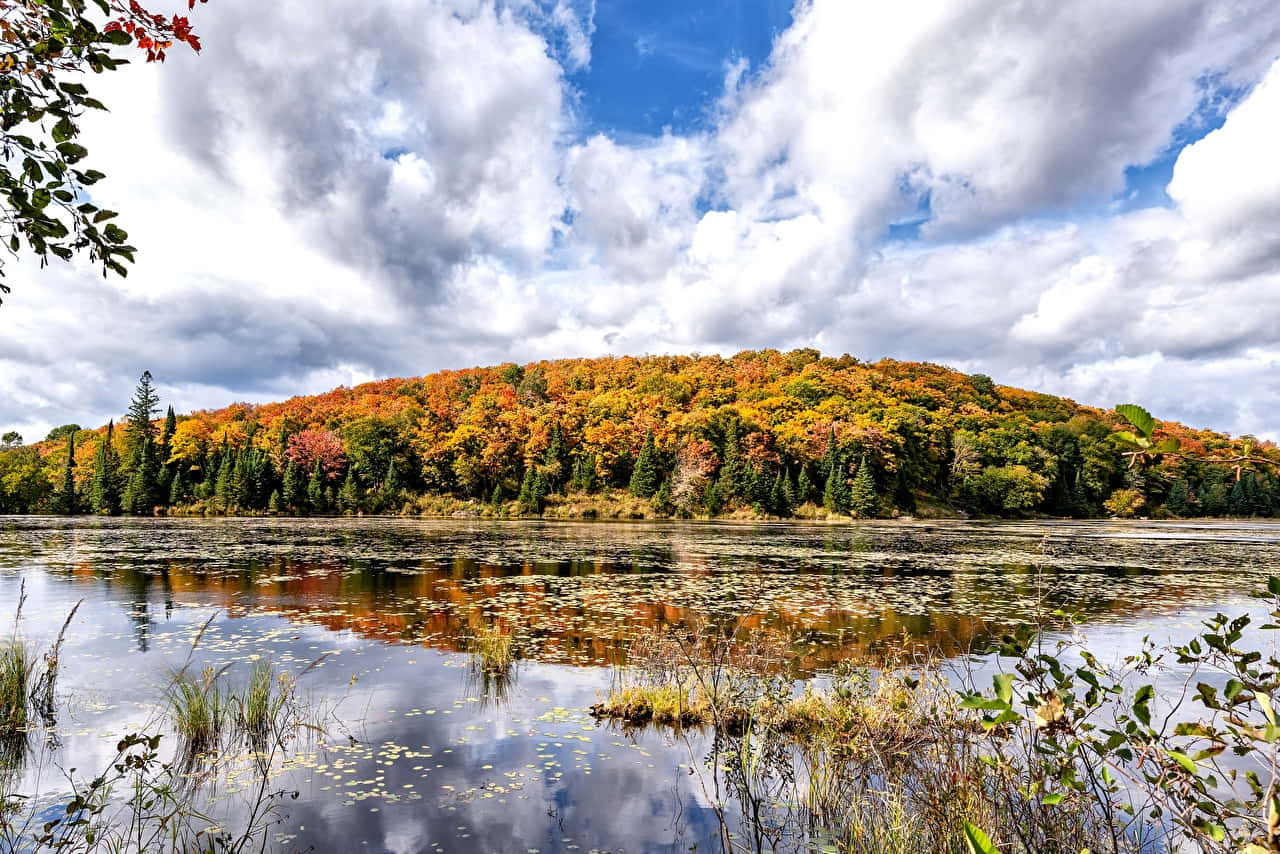 Reflets D'automne Dans Le Parc De Gatineau Fond d'écran