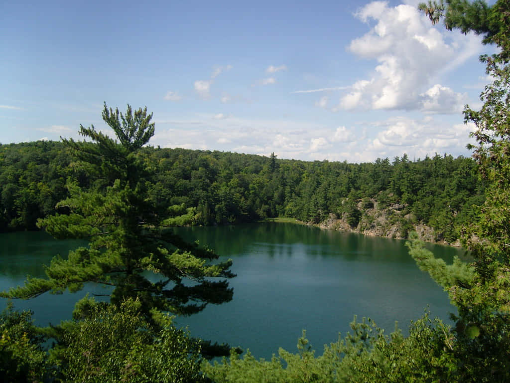 Pemandangan Danau Taman Gatineau Wallpaper