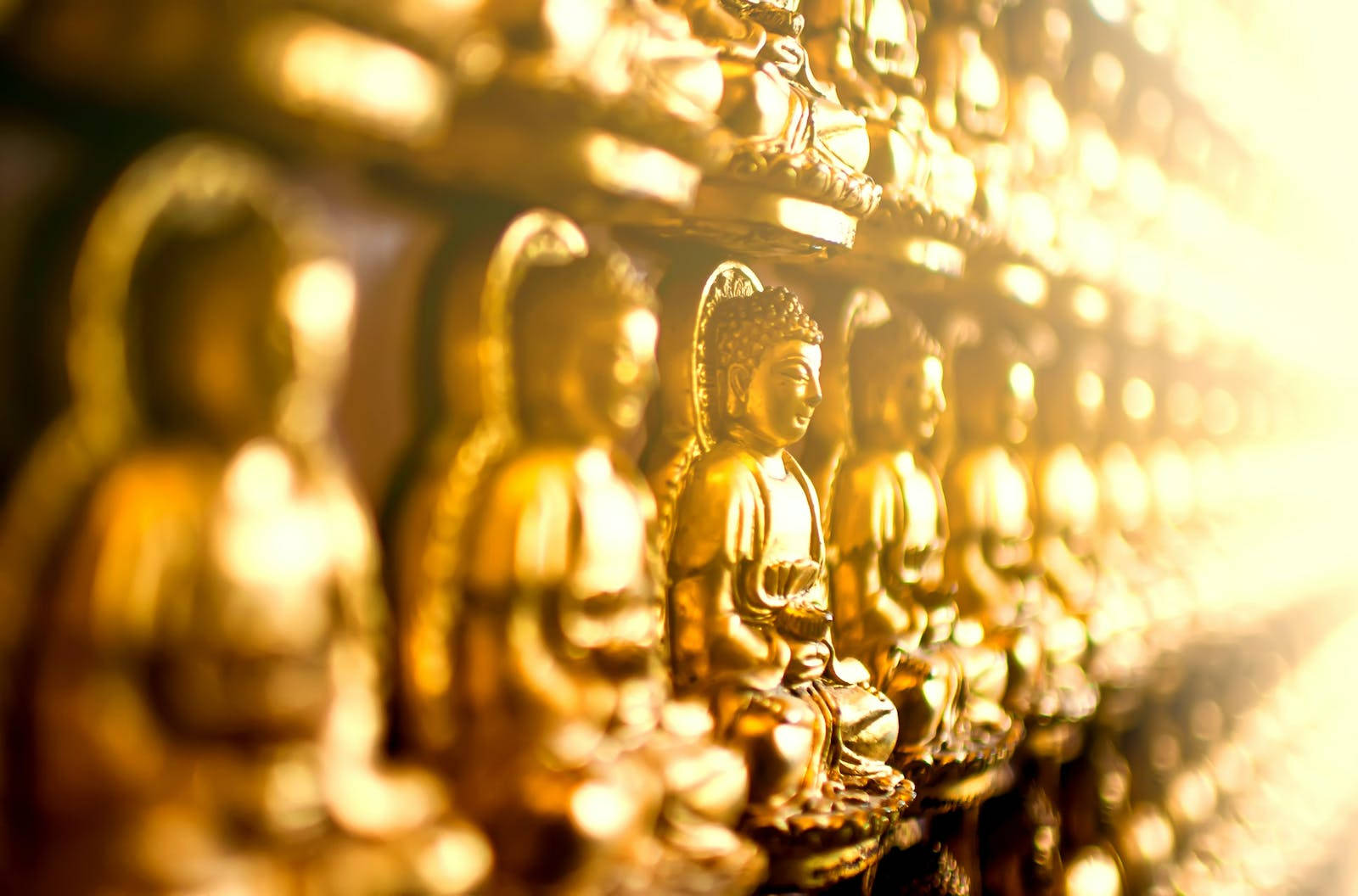 Estatuasdoradas De Gautam Buddha Fondo de pantalla
