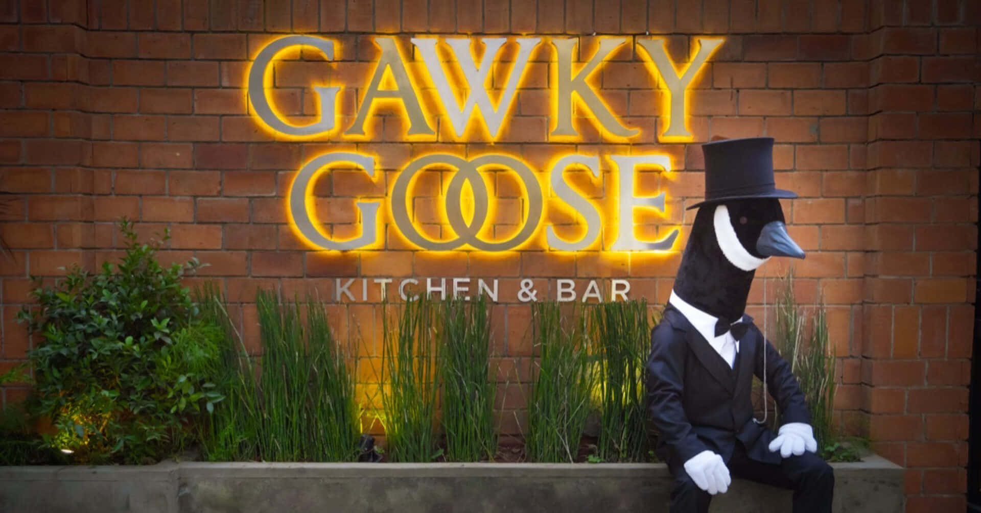 Gawky Goose Mascot Wallpaper