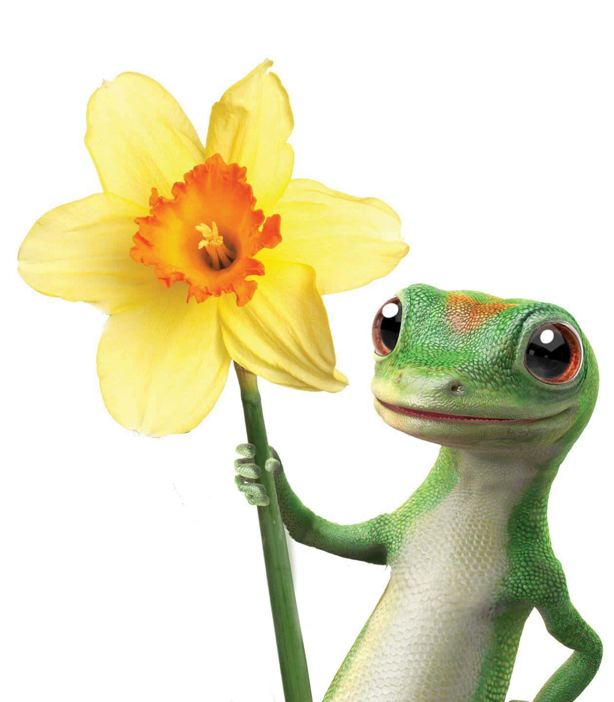 gecko holding a flower