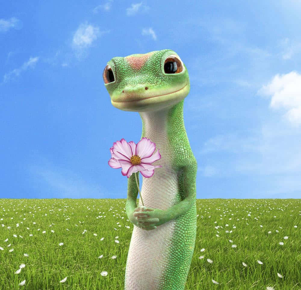 Geico Is here to Help You with All of your Insurance Needs