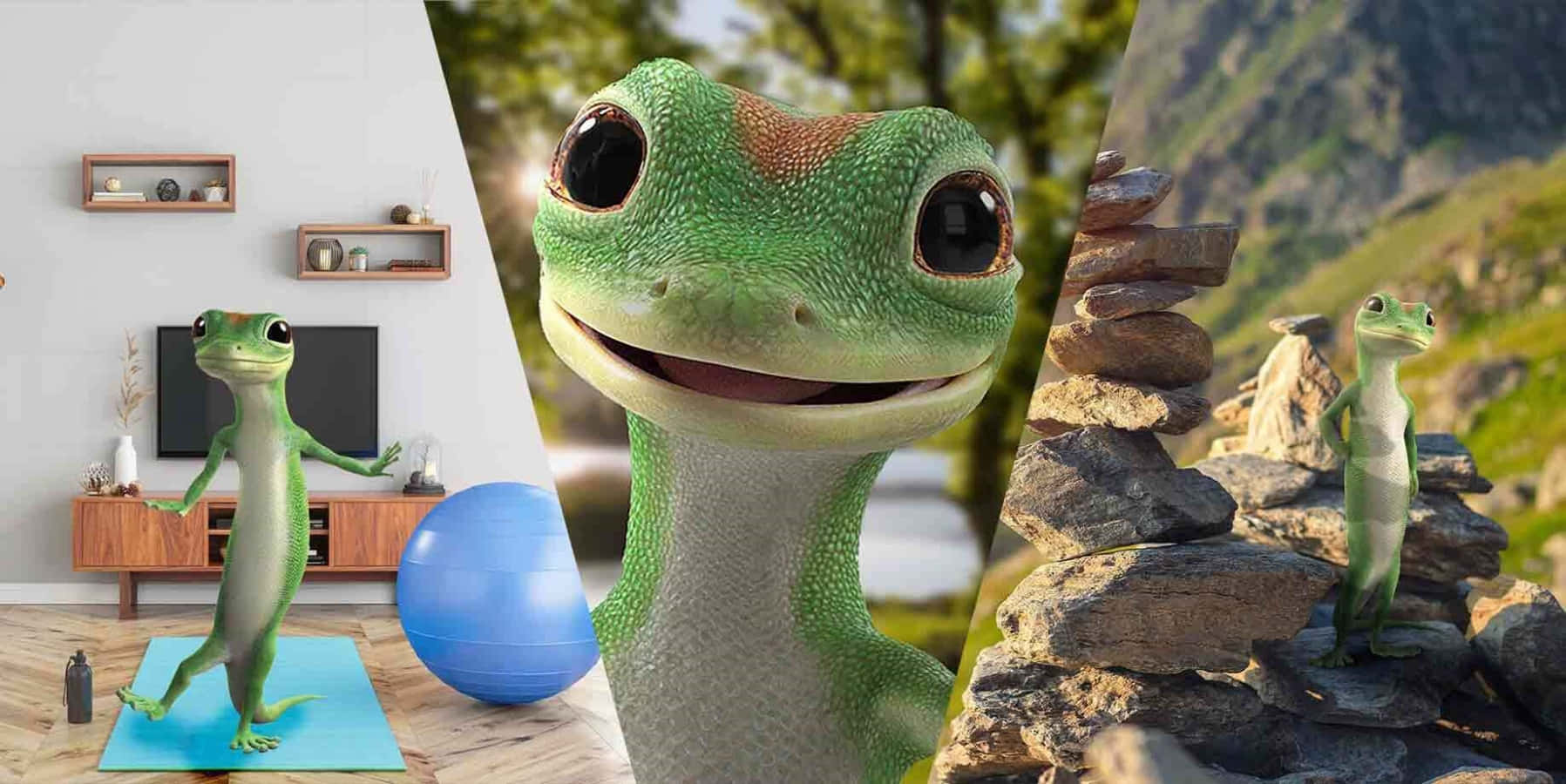 Get peace of mind knowing you're protected with Geico