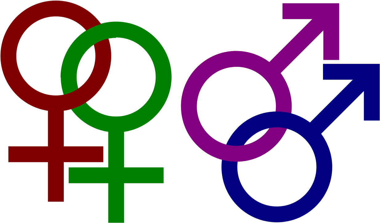 Gender Symbols Representation PNG