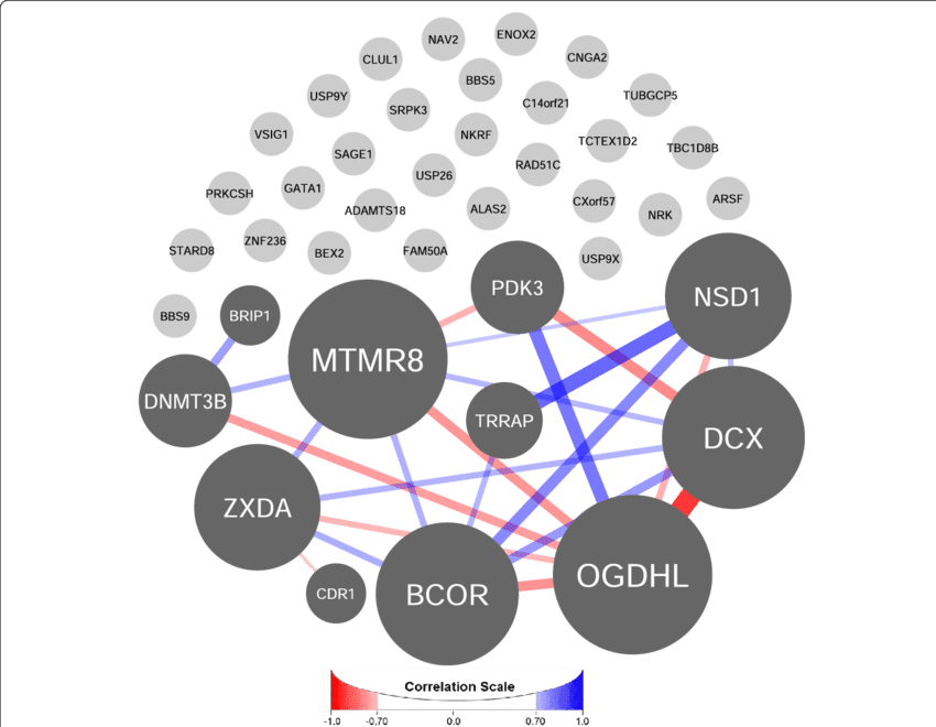 Gene Interaction Network Analysis PNG