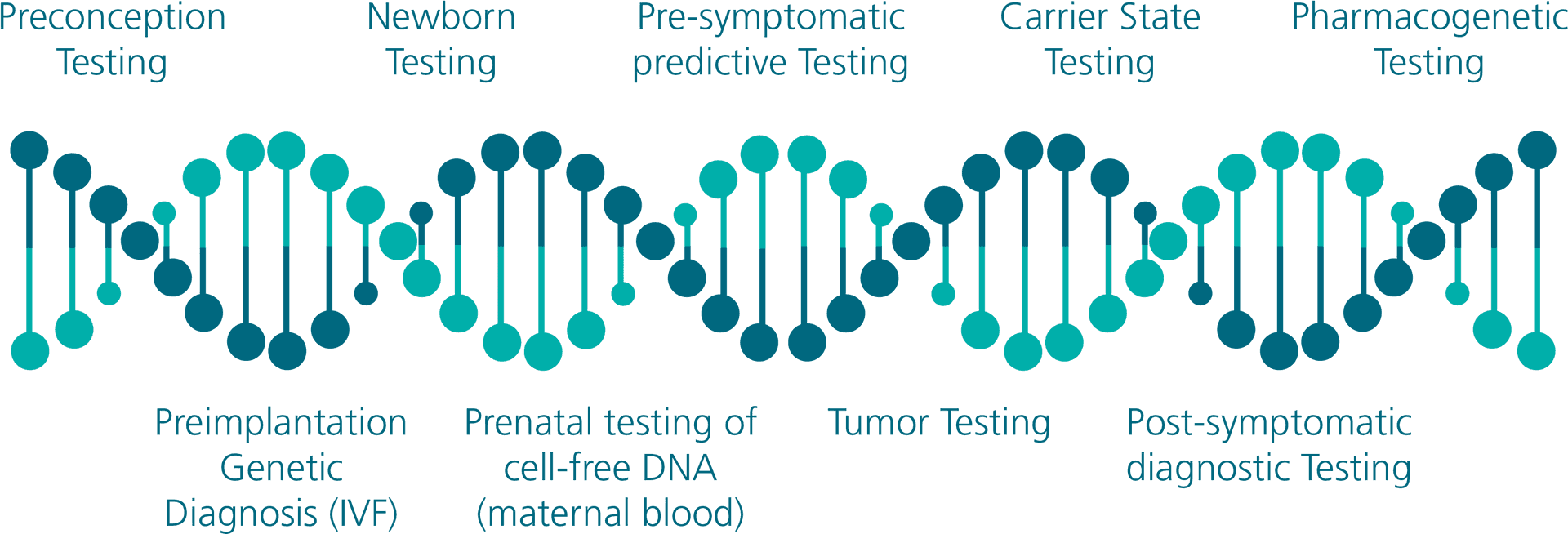 Genetic Testing Stages Infographic PNG