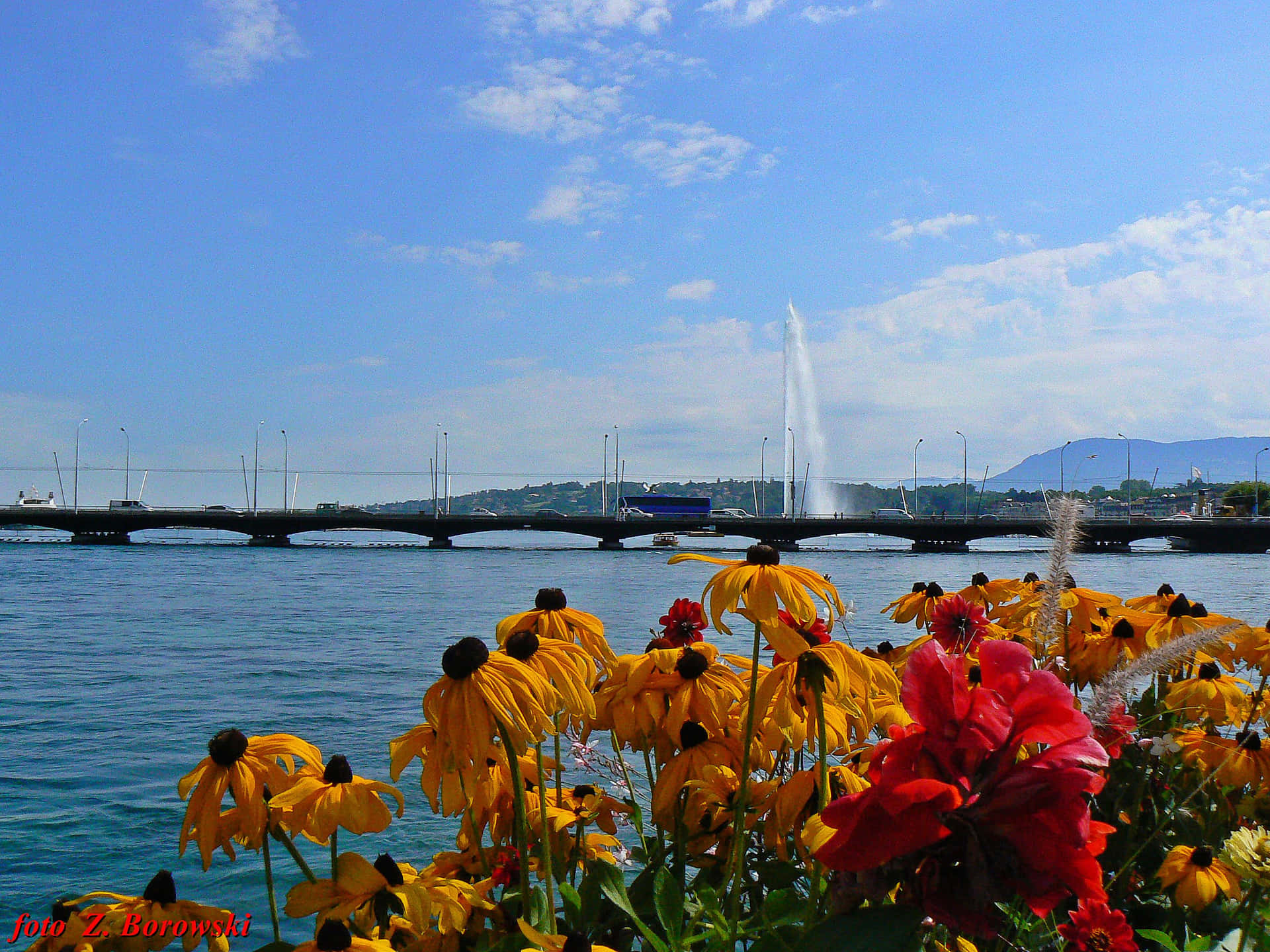 Geneva Lake Floral View Wallpaper