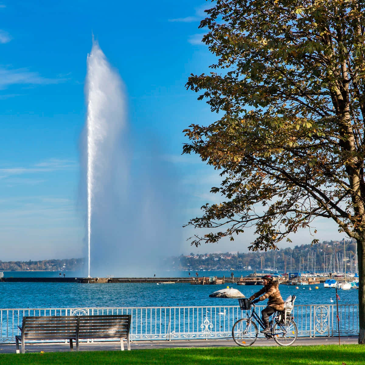 Geneva Lakefront Cyclistand Jetd Eau Wallpaper