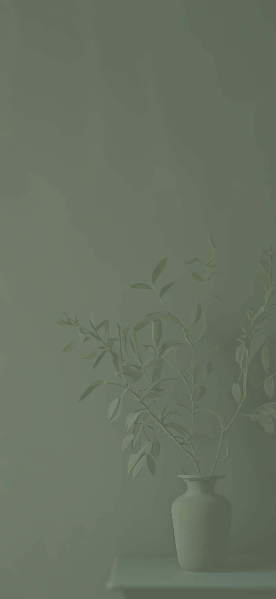Gentle Calm Of Sage Green Background