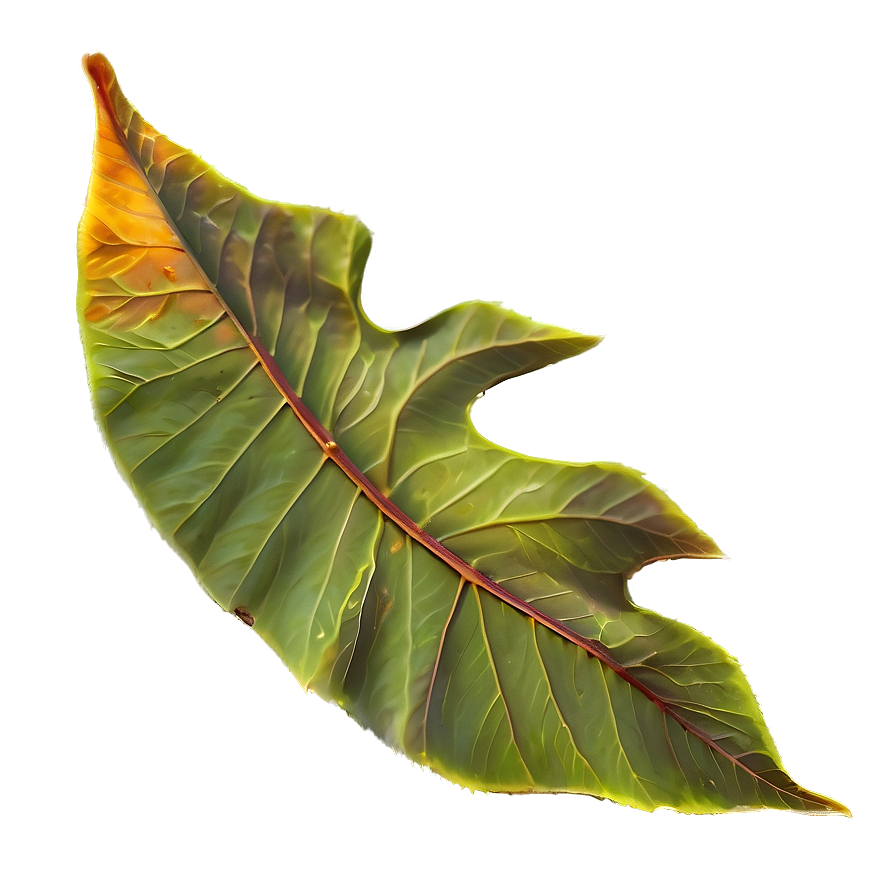 Gentle Fall Of Leaves Png Jrm PNG