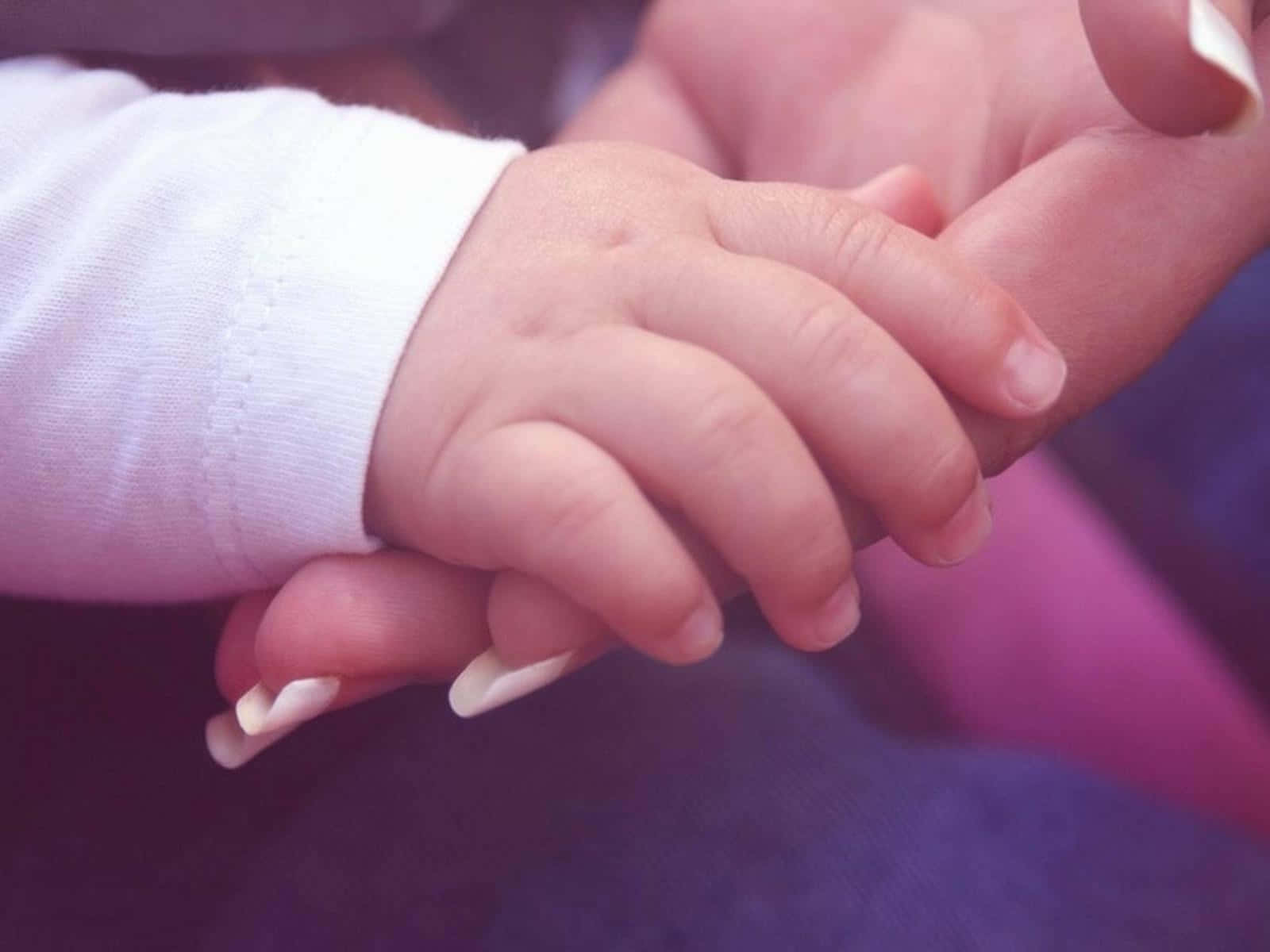 Gentle Infant Adult Hand Hold Wallpaper