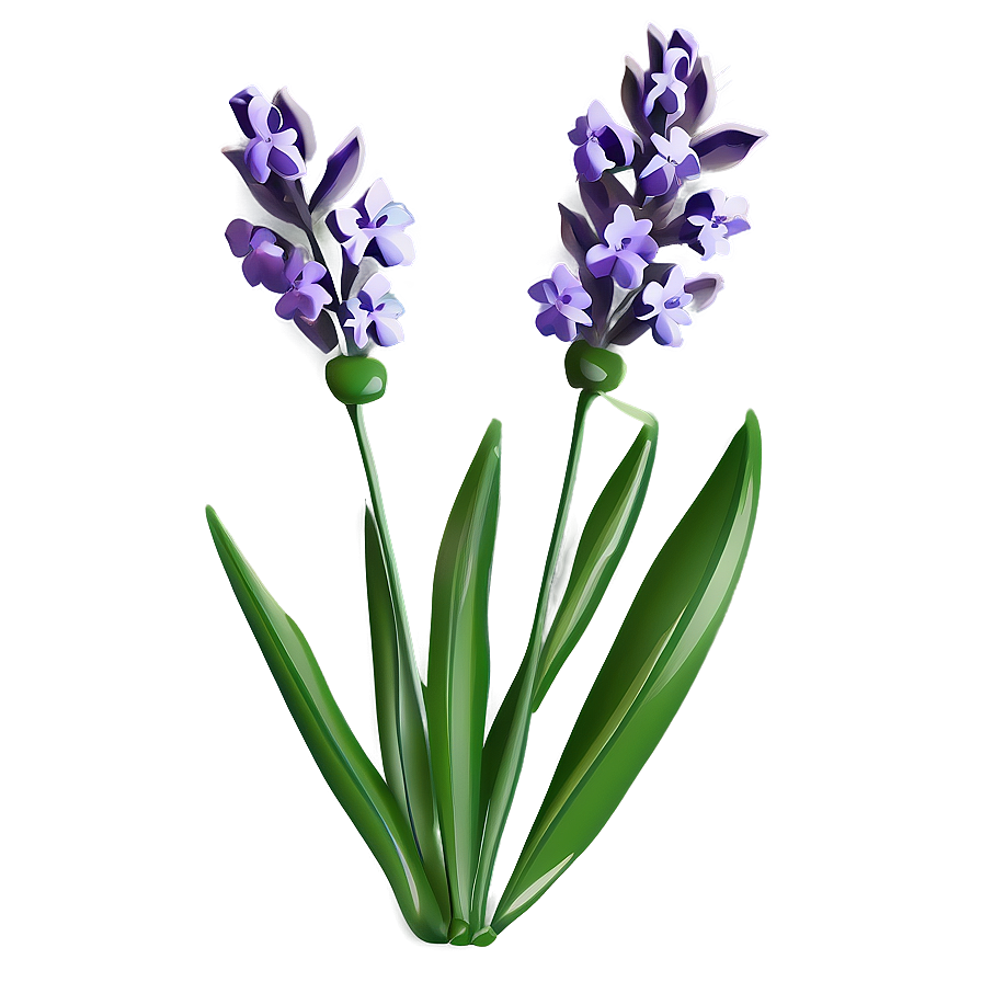 Gentle Lavender Sprig Png 06252024 PNG