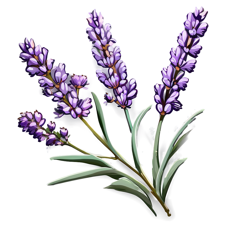 Gentle Lavender Sprig Png 10 PNG