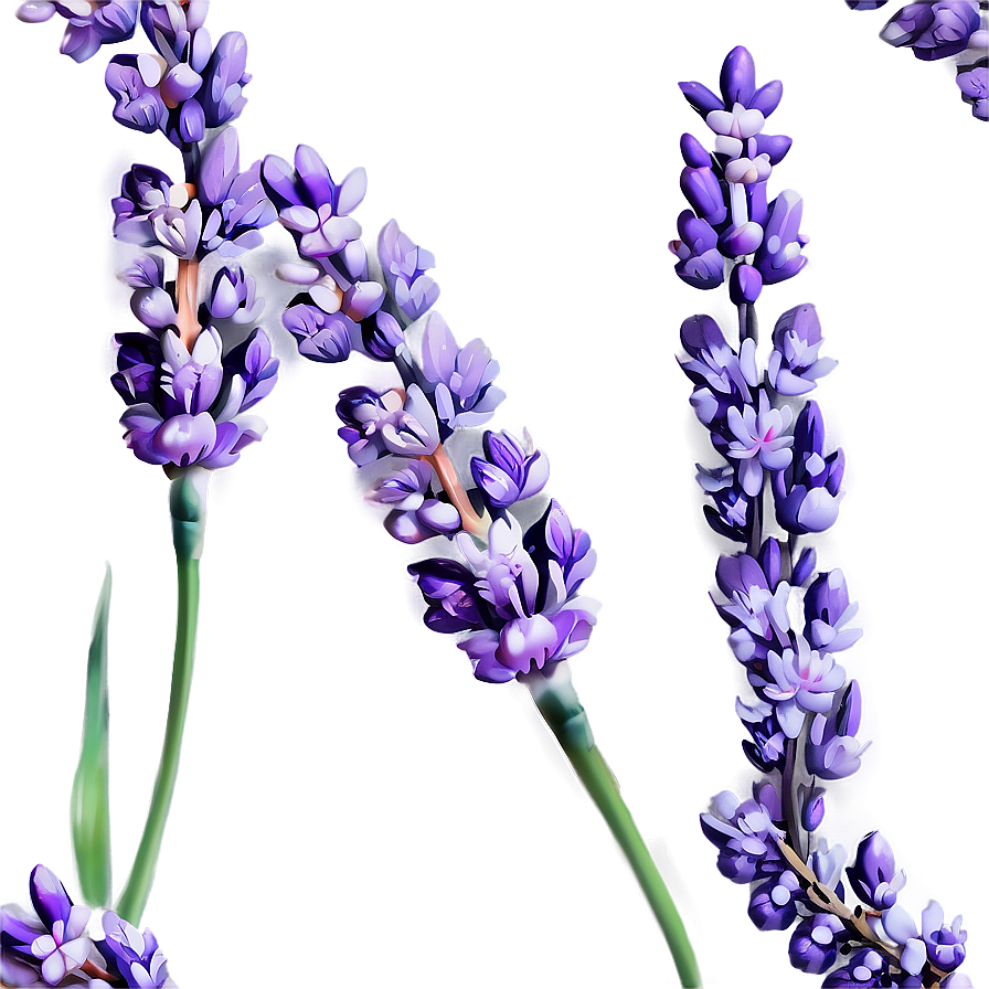 Gentle Lavender Sprig Png 25 PNG