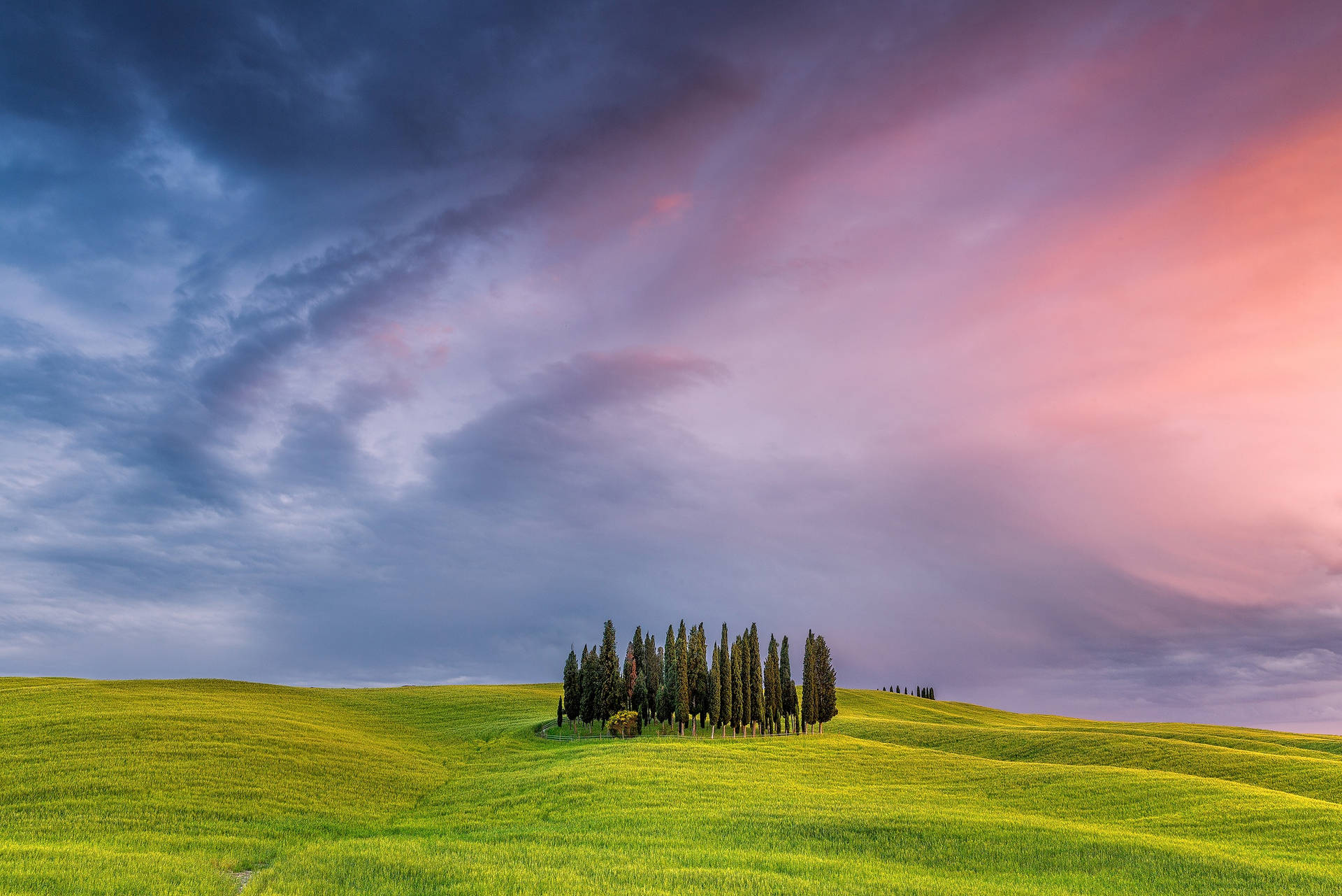 Gentle Rolling Hills In Tuscany Picture