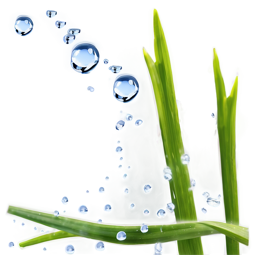 Gentle Water Drops On Grass Png Hcl PNG