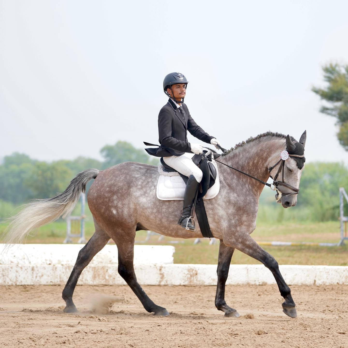 Gentleman Equestrian Horseback Riding Portrait Wallpaper