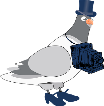 Gentleman Pigeonwith Camera PNG