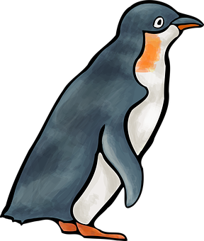 Gentoo Penguin Illustration PNG