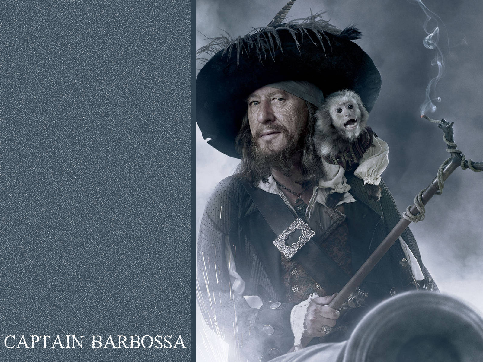 Geoffrey Rush Hector Barbossa Piratfilm. Wallpaper