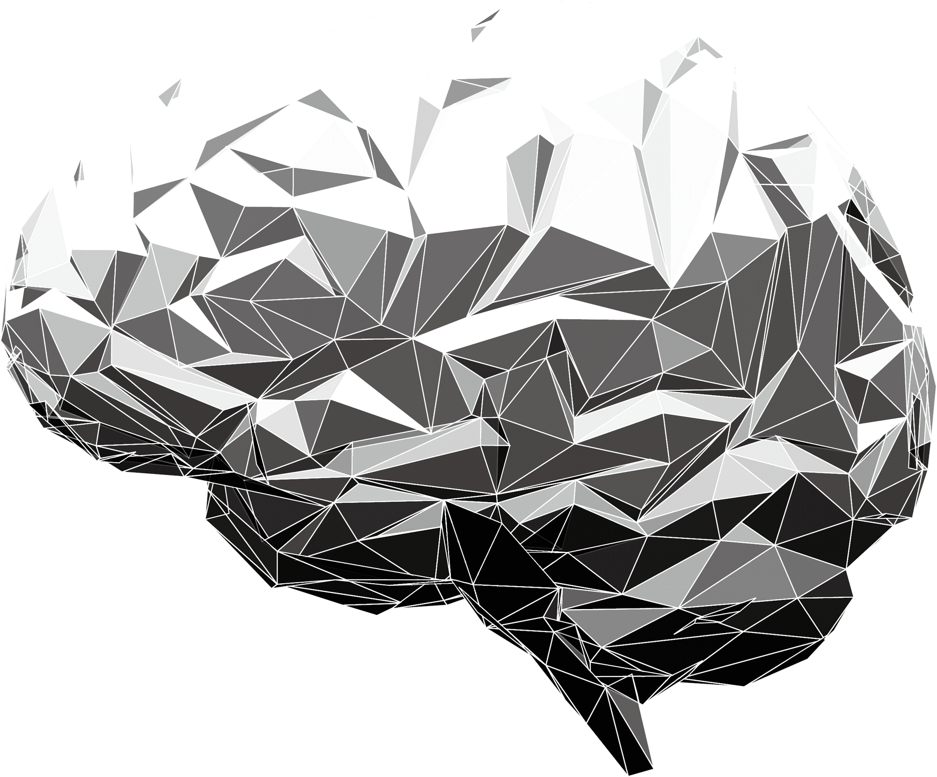 Geometric Brain Illustration.png PNG