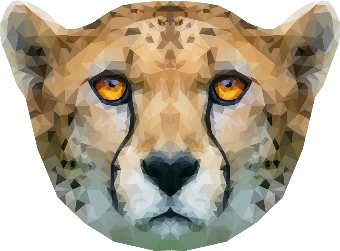 Geometric Cheetah Face Artwork PNG