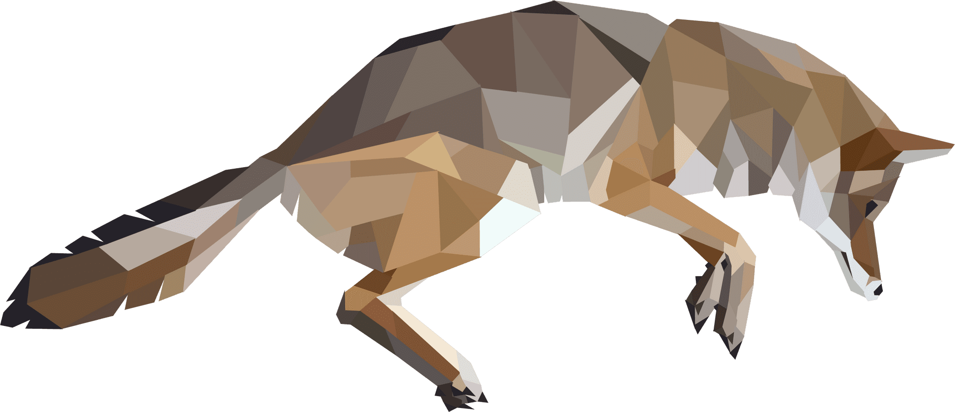 Geometric Coyote Artwork PNG