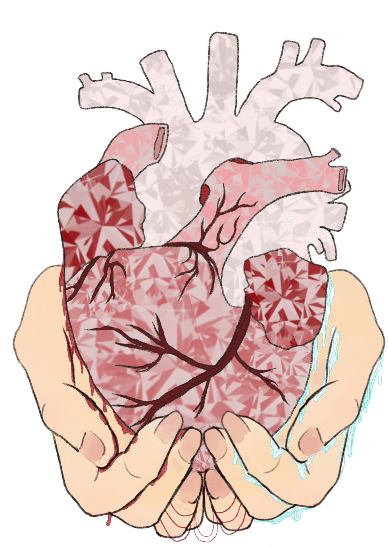 Geometric Heartin Hands Illustration PNG