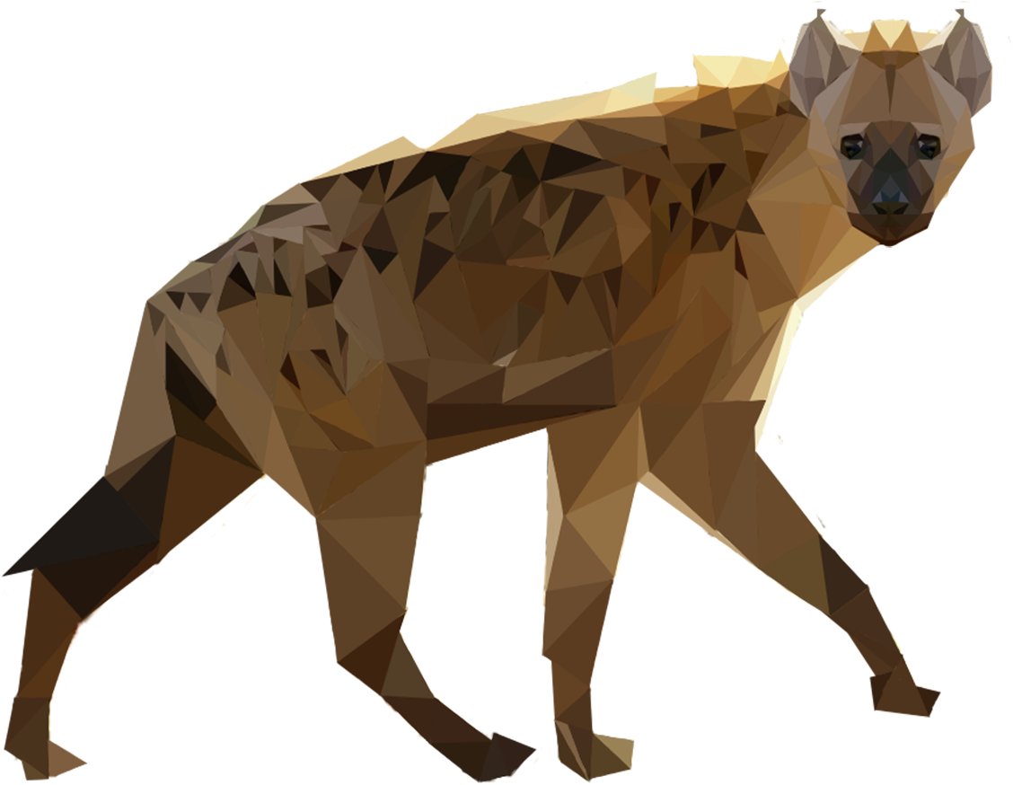 Geometric Hyena Artwork PNG