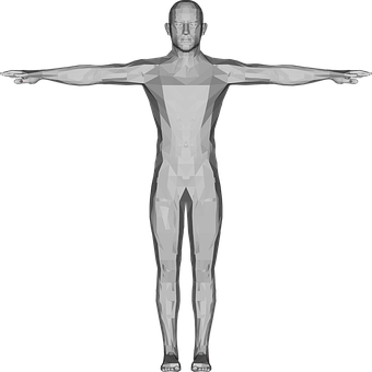 Geometric Man Model Xray Style PNG