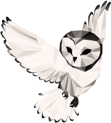 Geometric Owl Artwork PNG