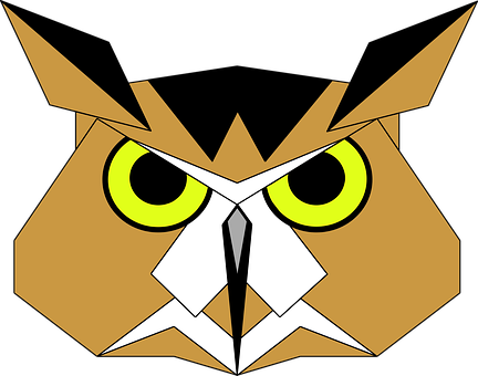 Geometric Owl Artwork PNG