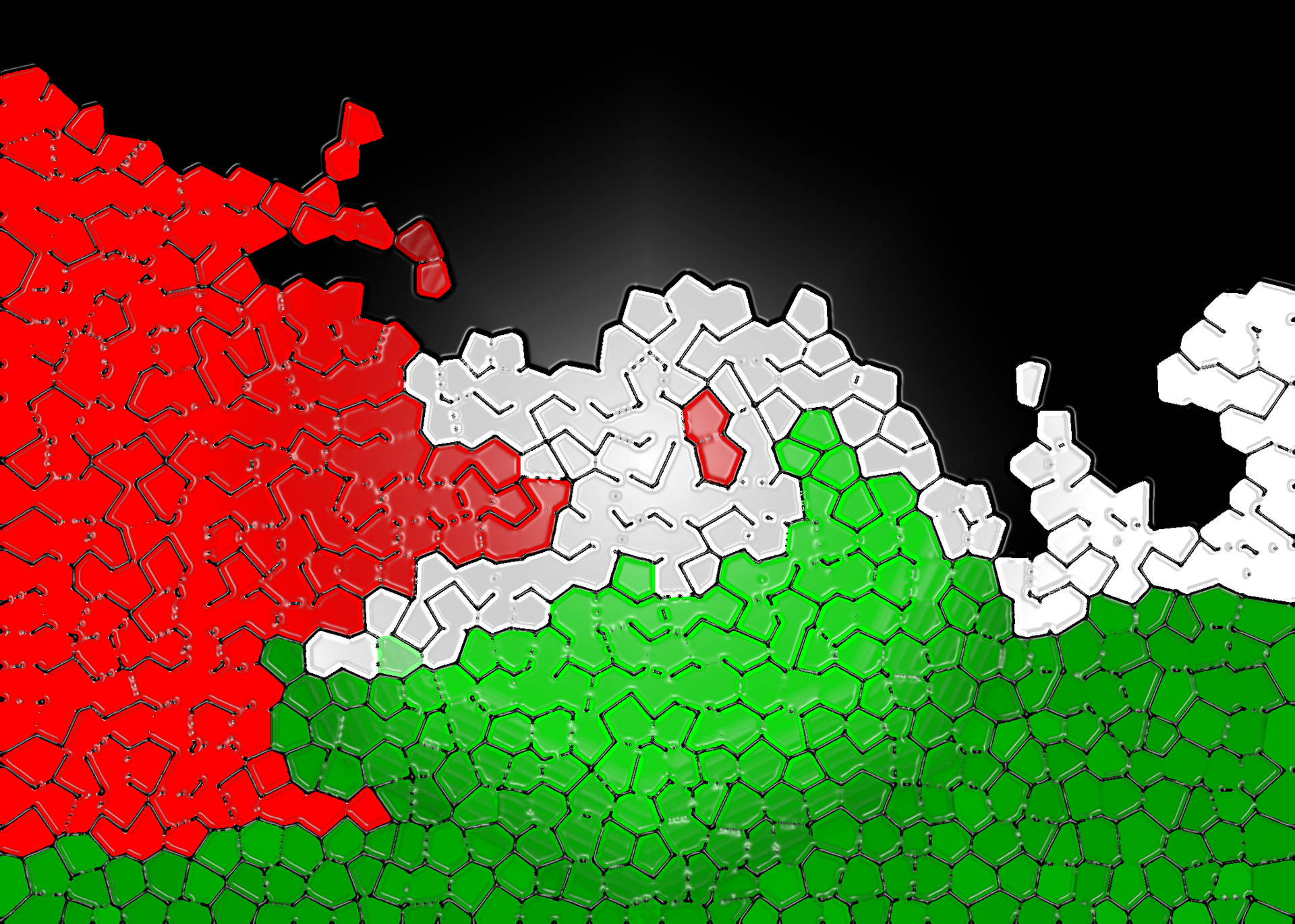 Distinctive Geometric Pattern of the Palestinian Flag Wallpaper