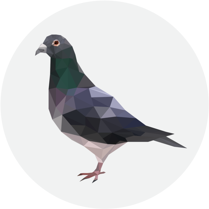 Geometric Pigeon Artwork PNG