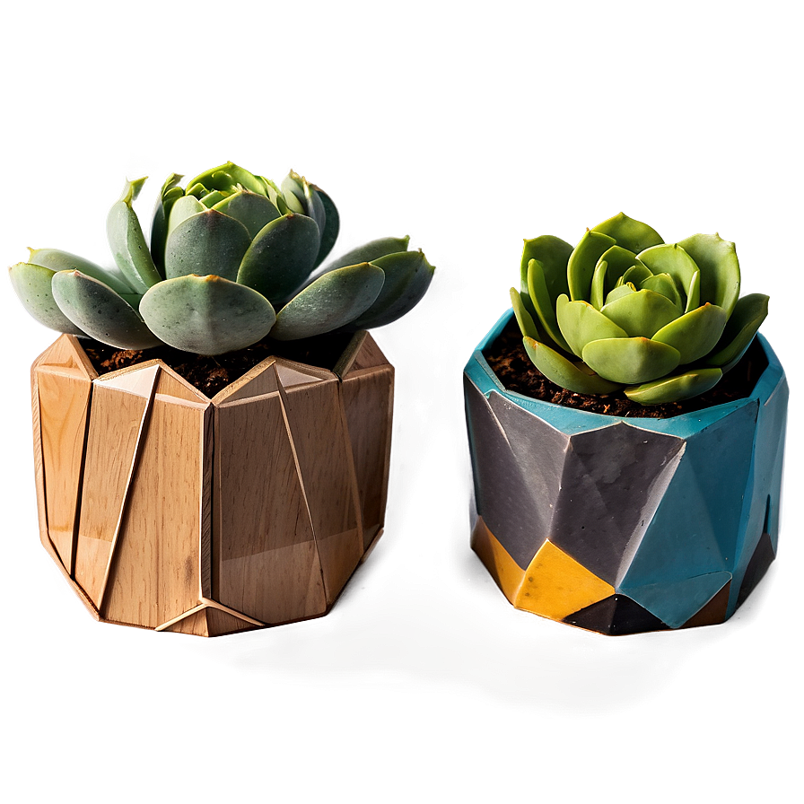 Geometric Succulent Holders Png 06212024 PNG