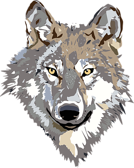 Geometric Wolf Portrait PNG